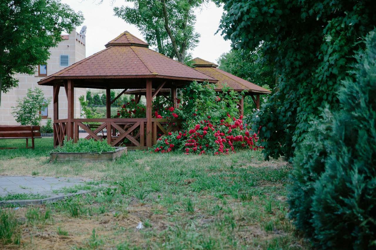 Palac Koronny Noclegi & Wypoczynek Wodzislaw Bagian luar foto